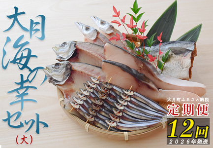 【定期便 12回】大月海の幸セット（大）