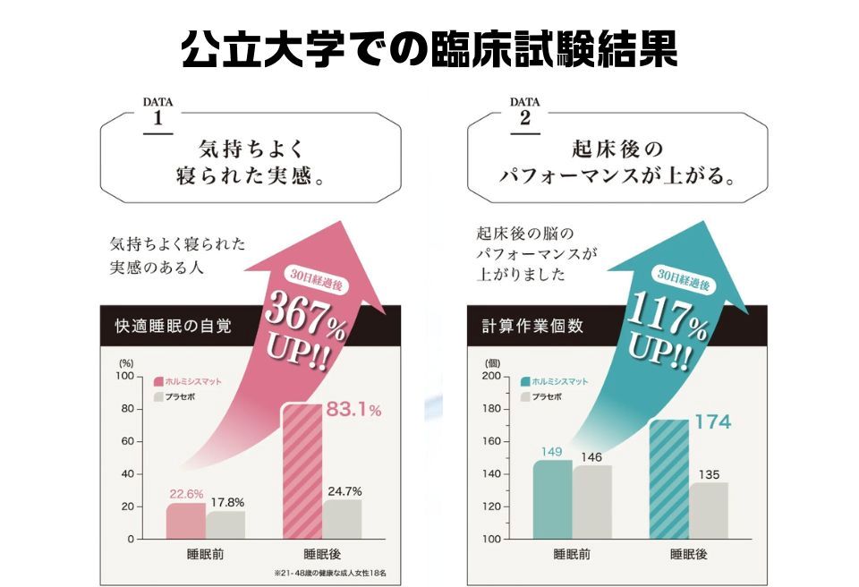 ラジウム温泉の力を取り入れたホルミシス敷パッド(ダブル)【G0596】