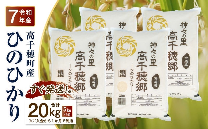 
            【令和7年産 新米】JA高千穂地区 ひのひかり 20kg | 高千穂産 5kg 4袋 食品 米 お米 白米 ごはん 白飯 精米 国産 宮崎県産  単一原料米 農作物 農産物 おすそ分け 普段使い 日常 炭水化物 主食 贈答 贈り物 ギフト プレゼント おすすめ 宮崎県 高千穂町 |_Tk004-046
          