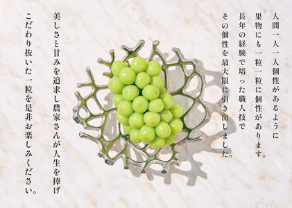甲州市産 たっぷり粒詰めシャインマスカット 約500g 自然農法 【2024年発送】（BNC）B-489