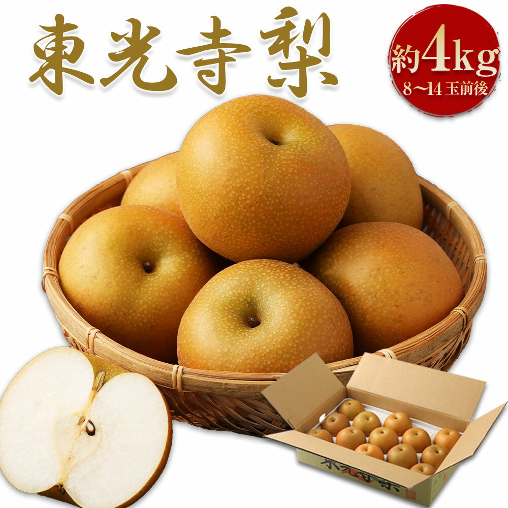 【ふるさと納税】東光寺梨 約4kg 8～14玉前後 梨 幸水 豊水 秋月 新高 新興 果物 くだもの フルーツ デザート 冷蔵 熊本県産 国産 送料無料【先行予約受付中】【2025年8月上旬より発送予定】