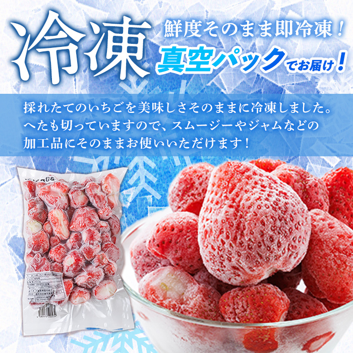 冷凍 あまおう (計1.6kg・800g×2袋) いちご イチゴ 苺 ストロベリー 果物 フルーツ おやつ デザート 冷凍 アマオウ 旬 小分け アイス シャーベット ジャム スムージー 冷凍フルーツ