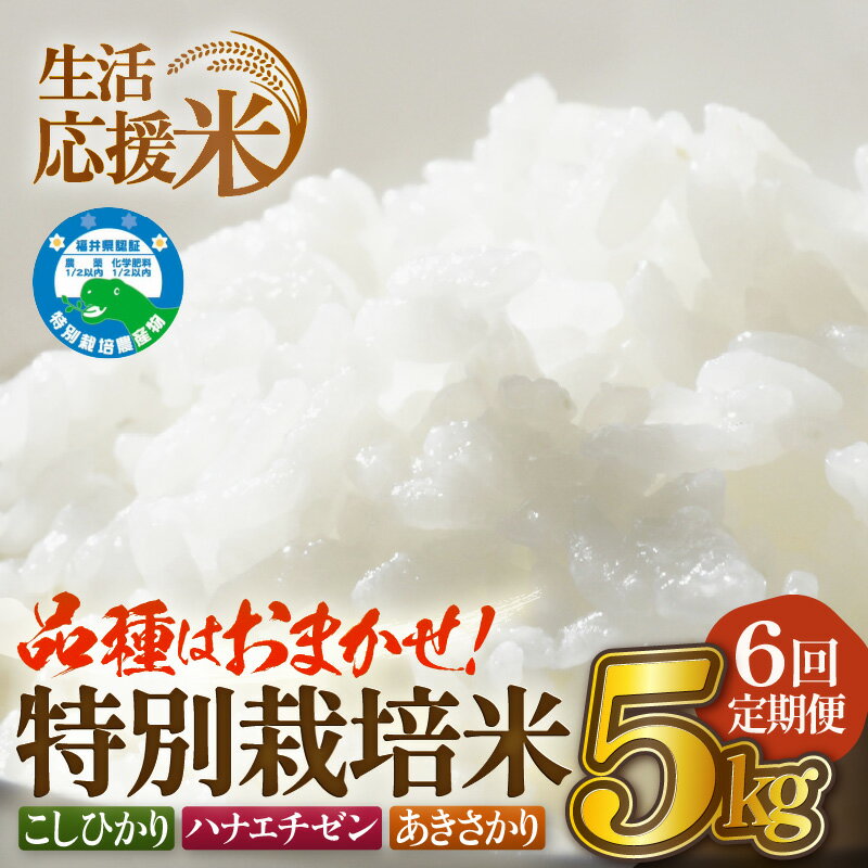 【ふるさと納税】【締切 期限近い】寄附受付2026/01/31【生活応援米】定期便 ≪6ヶ月連続お届け≫ 令和7年産 特別栽培米5kg × 6回（合計30kg）福井県越前町産【選べる精米方法：白米/玄米】【お米 コメ kome 5キロ 白米 家庭用 農薬5割減】