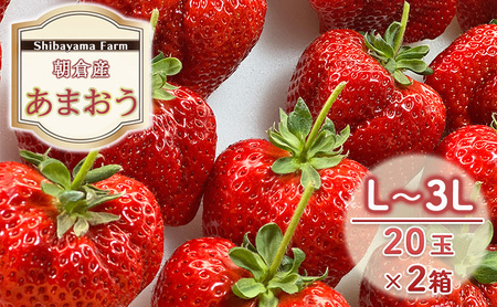 いちご 朝倉市産 あまおう L～3L 20玉×2箱 いちご