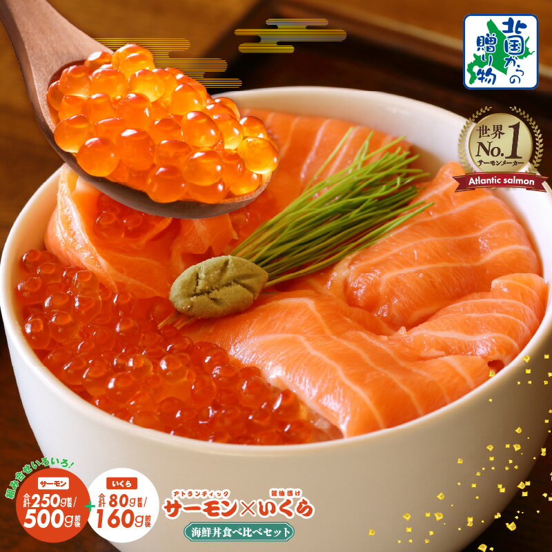 【ふるさと納税】【北国からの贈り物】 アトランティックサーモン いくら醤油漬け 海鮮丼 食べ比べ セット 選べる 空飛ぶサーモン イクラ 濃厚 旨味 新鮮 厳選 脂のり サーモン 鮭 お刺身 海鮮丼 カルパッチョ おせち 魚介 海鮮 冷凍 大阪府 泉佐野市 送料無料