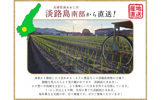 【あさひサンファーム】【Mサイズ 5kg】ひょうご安心ブランド★特別栽培★淡路島たまねぎ