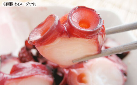 壱岐産 海鮮3種セット（烏賊素麺・たこの柔らか煮・旬の魚介類）《壱岐市》【神洸水産】 たこ タコ いか イカ 刺身 刺し身 海鮮 鮮魚 海産物　[JFI006]