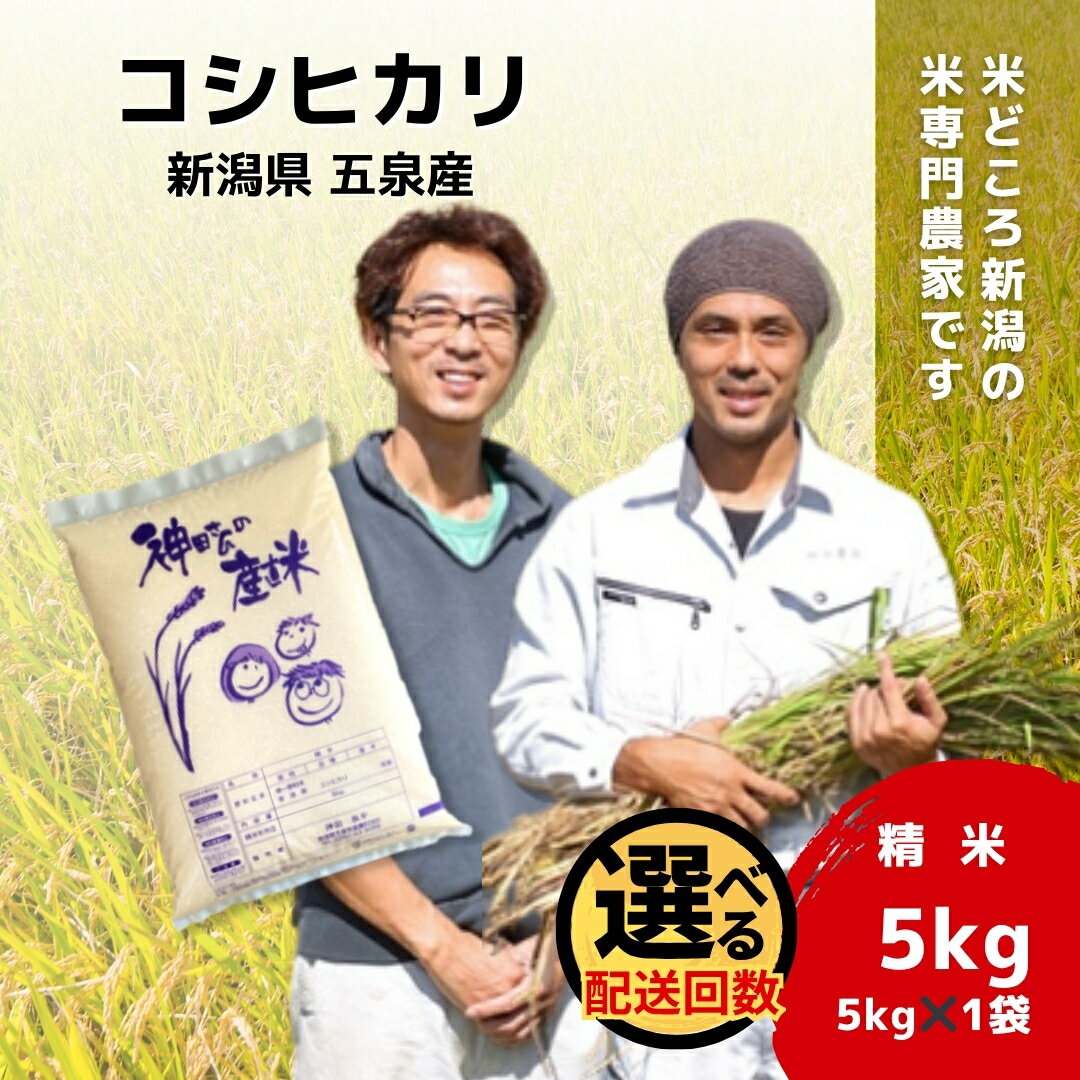 【ふるさと納税】 令和7年産 新米 米 5kg 五泉産 コシヒカリ 選べる回数 | 白米 精米 こしひかり お米 おこめ コメ こめ おすすめ 人気 新潟県 五泉市 わくわく農場
