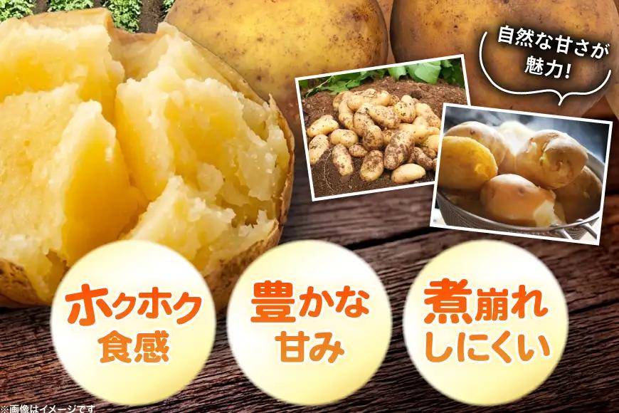 じゃがいも きたむかい 5kg