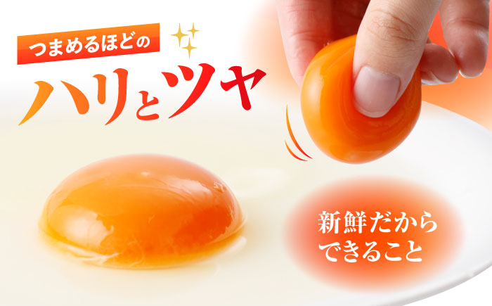 　【朝採れ直送】小峰鶏園 赤たまご Mサイズ 90個 / 卵 玉子 たまご 卵焼き 玉子焼き 生卵 鶏卵 卵かけごはん / 諫早市 / 小峰鶏園 [AHFB002]