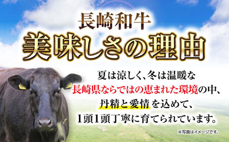 【全2回定期便】【A4～A5ランク】長崎和牛 モモステーキ 約500g（100g×5枚）《壱岐市》【株式会社MEAT PLUS】 肉 牛肉 和牛 モモ ステーキ ご褒美 ギフト 贈答用 ご褒美 冷凍配