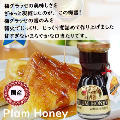 ふるさと納税 御坊市 ふみこ農園　梅グラッセ&梅蜜セット(大) |  | 02
