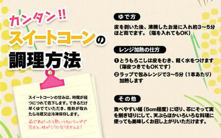 【先行予約】緒方さんちのスイートコーン『イエロー』約7kg　西都産　2026年初夏発送＜1-43＞＊