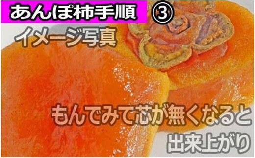 【県認定エコファーマー】あんぽ柿用生渋柿（平たねなし柿） 約4.5～5kg-AP  ※10月下旬より順次発送（日付指定不可）【art003A】