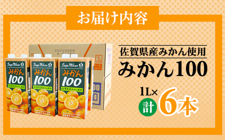 佐賀県産みかん使用 みかん100（ 紙パック 1L×6本）B110-044 温州みかん 天然 果汁100% ビタミンC 酸味 甘み みかん ジュース 佐賀県 小城市