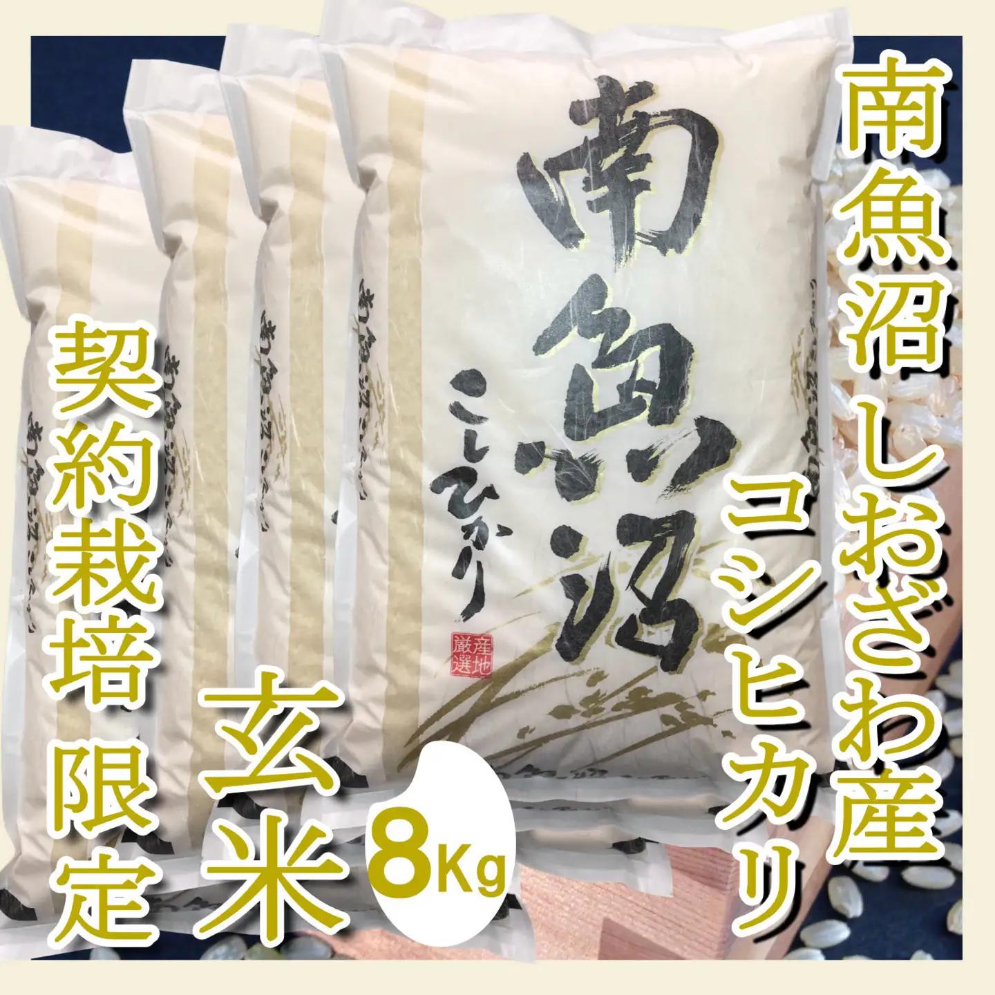 【令和7年】【玄米８Kg】●玄米● 生産者限定 南魚沼しおざわ産コシヒカリ｜玄米