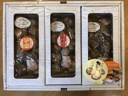 大分産原木椎茸3種食べくらべセットA（どんこ･香信50g･椎茸50g） 乾燥椎茸 干し椎茸 乾し 原木椎茸 しいたけ シイタケ 大分県産 九州 産地直送  中津市