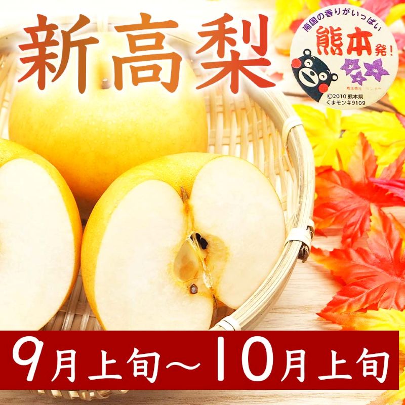 定期便3回 梨 約3kg×3回 計約9kg 豊水 秋月 新高 8月～10月出荷【梨 なし 果物 フルーツ デザート 食後 熊本県産】※配送不可：離島