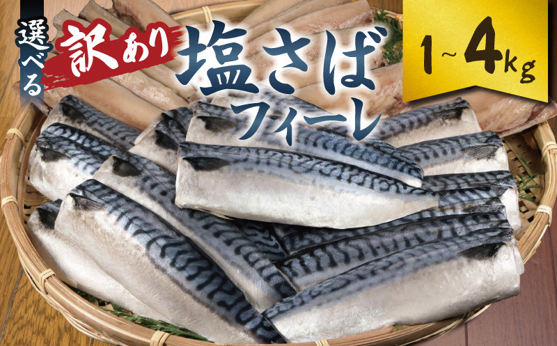 
            訳あり 塩サバフィーレ 選べる容量 約1kg 約2kg 約3kg 約4kg ノルウェー産 冷凍 ｻﾊﾞ 鯖 塩サバ 塩鯖 海鮮 魚 大容量 規格外 不揃い 青魚 おかず 惣菜 魚介 おつまみ 弁当 人気 冷凍食品 グルメ 贈答 贈物 ギフト 長期保存 小分け お取り寄せ BBQ ふるさと納税 ふるさと納税サバ 送料無料 千葉県 銚子市 大一奈村魚問屋
          