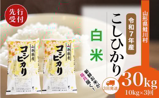 
            ＜令和7年産米先行受付＞ 鮭川村 コシヒカリ 【白米】 定期便 30kg （10kg×1ヶ月間隔で3回お届け）＜配送時期選べます＞
          