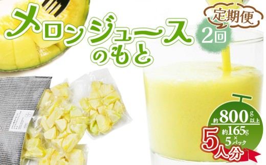【2回定期便】メロンジュースのもと 約800ｇ 約165g×5パック - 国産 マスクメロン 完熟 飲み物 飲料 甘い フルーツジュース ジュース スムージー カットメロン アレンジ 果物 くだもの フルーツ めろん 篤農 高知県 香南市 冷凍 Wtn-0033