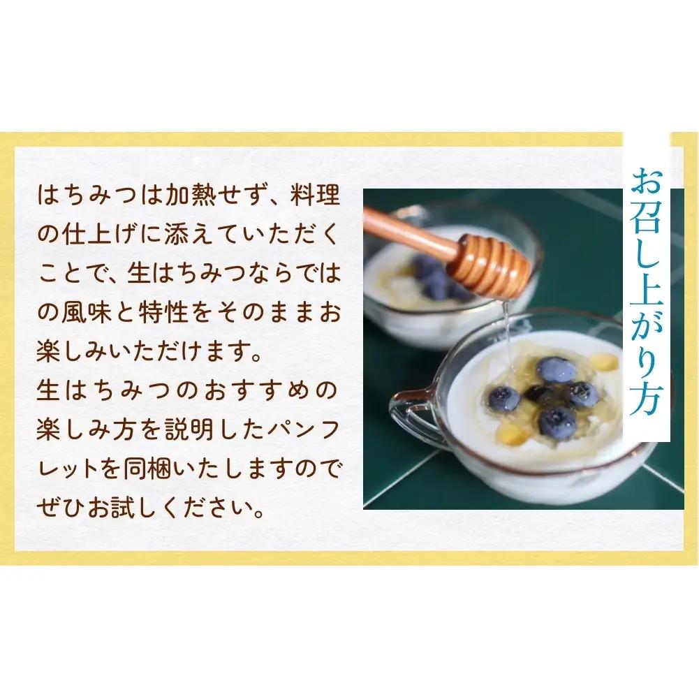 生はちみつ：春の百花蜜（160g） 富山県 氷見市 蜂蜜 国産 ハチミツ