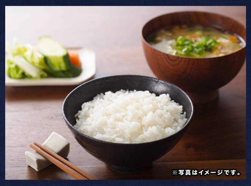 【令和7年産】宮崎県産こしひかり「シタギリ米」10kg（5kg×2）【 米 お米 白米 精米 国産 宮崎県産 こしひかり おにぎり 】[C04202]