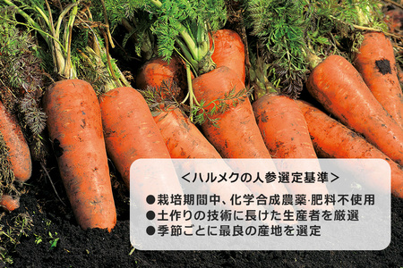 《定期便6ヶ月》ハルメク 人参ジュース【缶】190g×30本