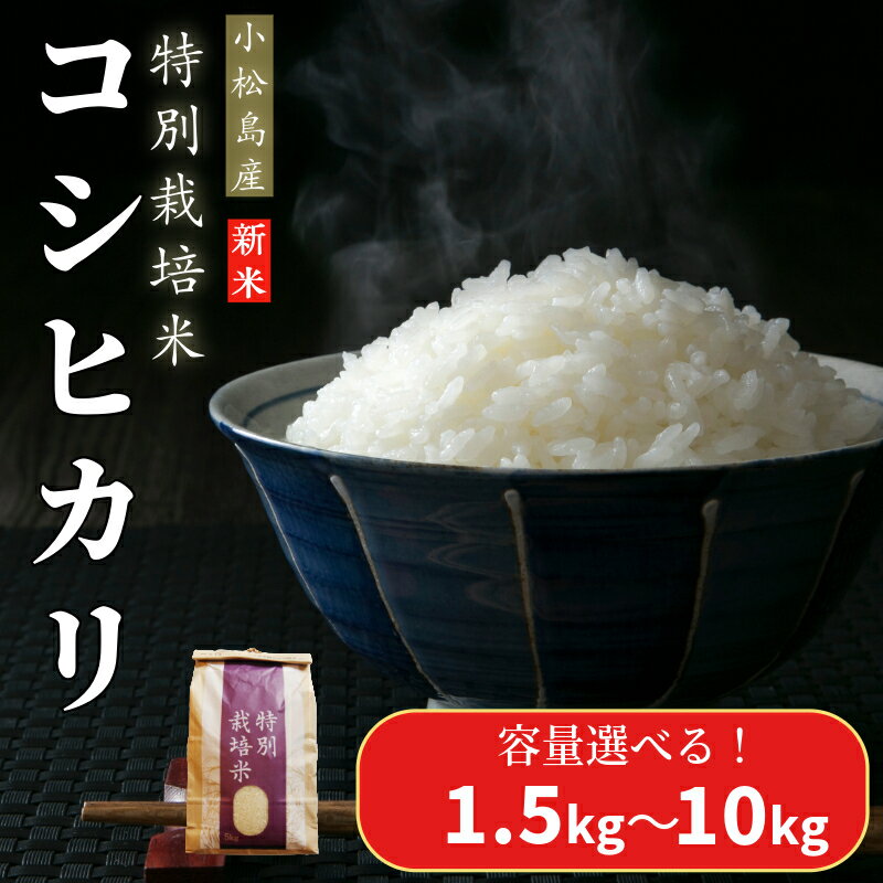 【ふるさと納税】 【2025年9月順次発送】 令和7年産 新米 白米 コシヒカリ 1.5kg～10kg 特別栽培米 健康 安心 安全 お試し 少量 小分け 四国 徳島 小松島 米 おいしい kome お米 おこめ こしひかり 精米 国産 ごはん ご飯 白飯 人気 コスパ おすすめ TKG 卵かけご飯 おにぎり