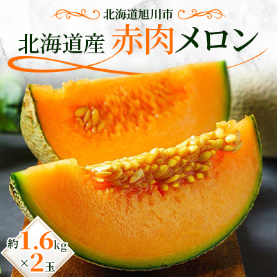 北海道産赤肉メロン約1.6kg×2玉_02061【配送不可地域：離島】【1451336】