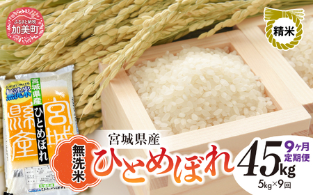 【新米予約】宮城県産ひとめぼれ 無洗米 5kg×9回定期便 ひとめぼれ