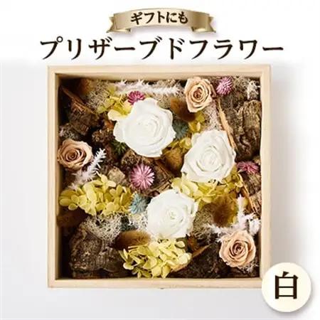 プリザーブドフラワー白【1662935】
