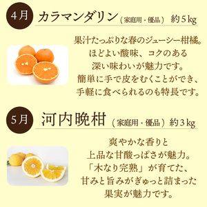 【紅まどんな 入り！】愛媛みかんおたのしみ定期便 【全6回】 | 紅マドンナ 温州みかん 石地みかん せとか いよかん 完熟島いよかん カラマンダリン 河内晩柑 まどんな 柑橘 みかん 蜜柑 mika