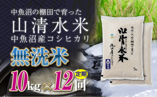 【定期便／全12回】無洗米10kg　新潟県魚沼産コシヒカリ「山清水米」十日町市 米