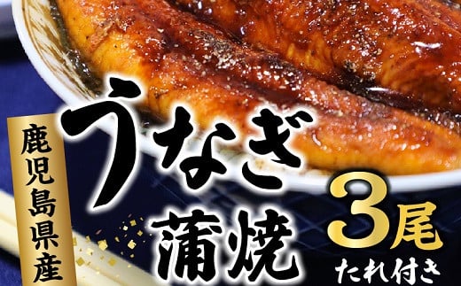 
077-01 鹿児島県産うなぎ蒲焼3尾 タレ付
