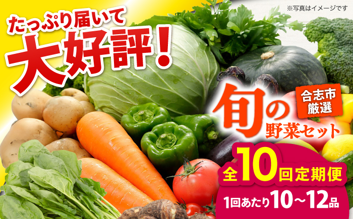 
            【年10回コース定期便】【数量限定】合志の旬のお野菜10〜12品目【一般社団法人クラッシーノこうし】 [AYAB013]
          