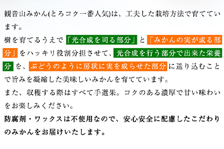 観音山みかん(とろコク一番人気) 4kg 有限会社柑香園《2024年11月中旬-2025年1月下旬頃出荷》和歌山県 紀の川市 フルーツ 果物 柑橘 みかん