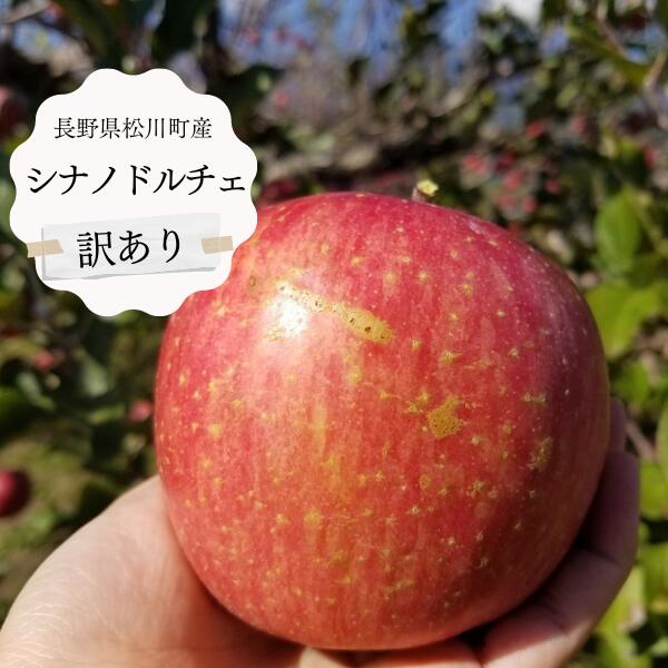 【ふるさと納税】りんご シナノドルチェ【家庭用】約3kg ～ 約5kg／9月中旬頃から発送予定 // 訳あり 大玉 南信州自慢のりんご