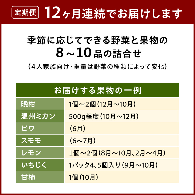 S096-004-T12_【定期便12回】季節のおまかせ野菜と果物セット