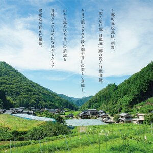 MOTO Most ぶどうジュース シャインマスカット100％ | ぶどう ジュース ノンアルコール フルーツドリンク 兵庫県 上郡町