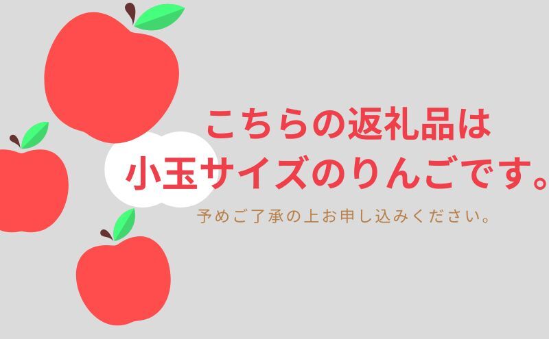 【8月クール便発送】（糖度12度以上）家庭用小玉きおう約3kg【弘前市産 青森りんご】