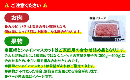 【12回定期便】長崎和牛と旬のフルーツが楽しめる バラエティ定期便 / フルーツ定期便 果物定期便 肉定期便 牛肉 びわ メロン ぶどう みかん / 南島原市 / 贅沢宝庫[SDZ053]
