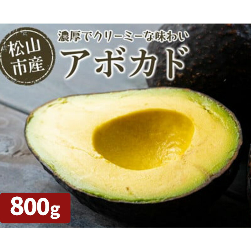 【ふるさと納税】 【11月上旬から発送予定】 松山市産 アボカド 800g （ サラダ 料理 果物 ヘルシー アボガド ダイエット ミネラル 森のバター サラダ 栄養 国産 愛媛 松山 ）