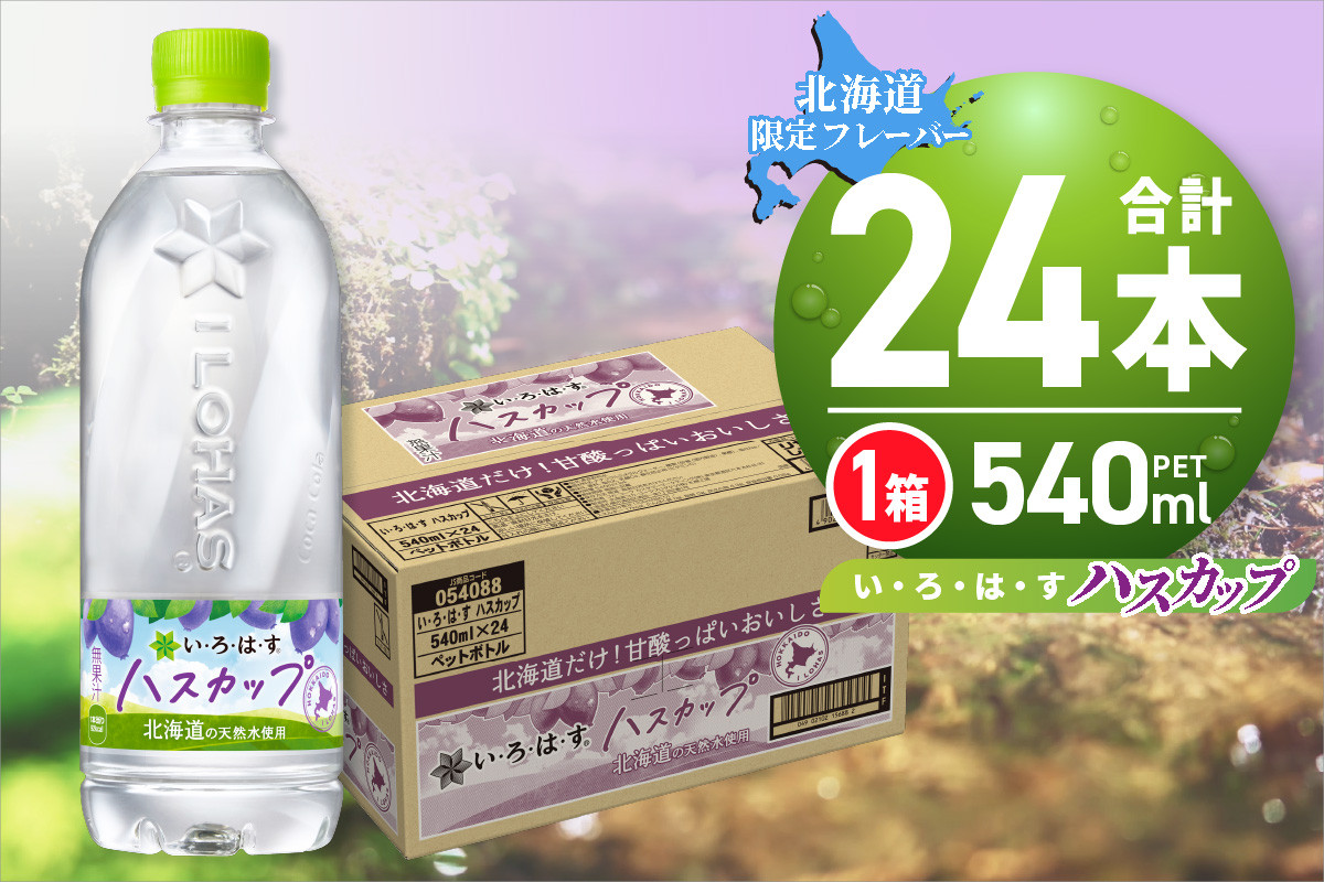
            い・ろ・は・す ハスカップ　540mlPET×24本
          