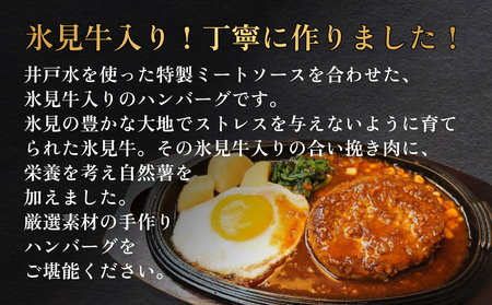 ひみハンバーグ 15個 | ソース付き ミートソース 氷見牛 ブランド牛 国産 柔らか ハンバーグ 湯煎 冷凍 おかず 惣菜 温めるだけ 簡単調理 お取り寄せ 小分け 15個 富山