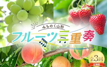 《2026年度先行予約》みちのく山形 フルーツ三重奏 〜桃・シャインマスカット・いちご〜 全3回定期便 FSY-2511