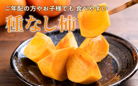 【2024年 秋 発送】多気町発祥「前川次郎」 JA-02 ／ 次郎柿 完全甘柿 種なし 甘い ビタミンC 豊富