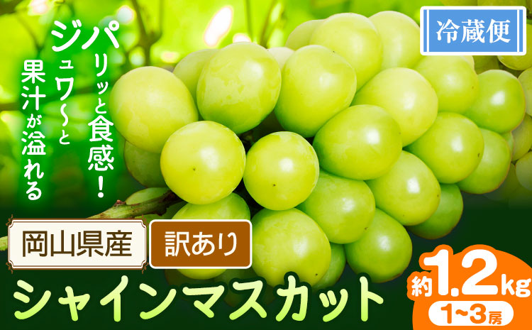 訳あり シャインマスカット 約1.2kg 1～3房【配送不可地域あり】 花田青果株式会社《2026年9月上旬-10月末頃出荷》---124_c2533_9a10m_25_10000_3p---