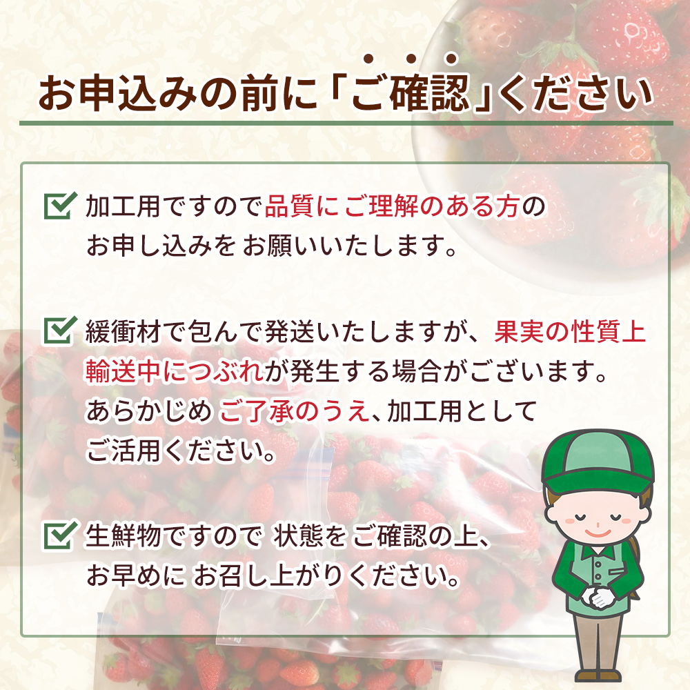 ＜訳あり いちご あまおとめ 約1.3kg 小粒 加工用 冷蔵 規格外品＞ 国産 サイズ 小粒 詰め合わせ アマオトメ 訳あり 訳アリ フルーツ 果物 苺 いちご イチゴ シャーベット スムージー り