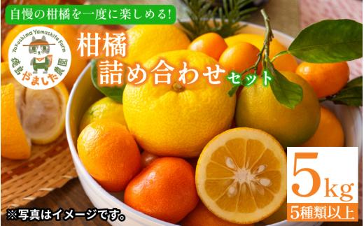 【2026年1月下旬順次発送】 柑橘 詰め合わせ5種以上 5kg しらぬい きよみ はるか 文旦 はっさく みかん レモン スイートレモネード  詰め合わせ  フルーツ 果物 お取り寄せ 人気 国産